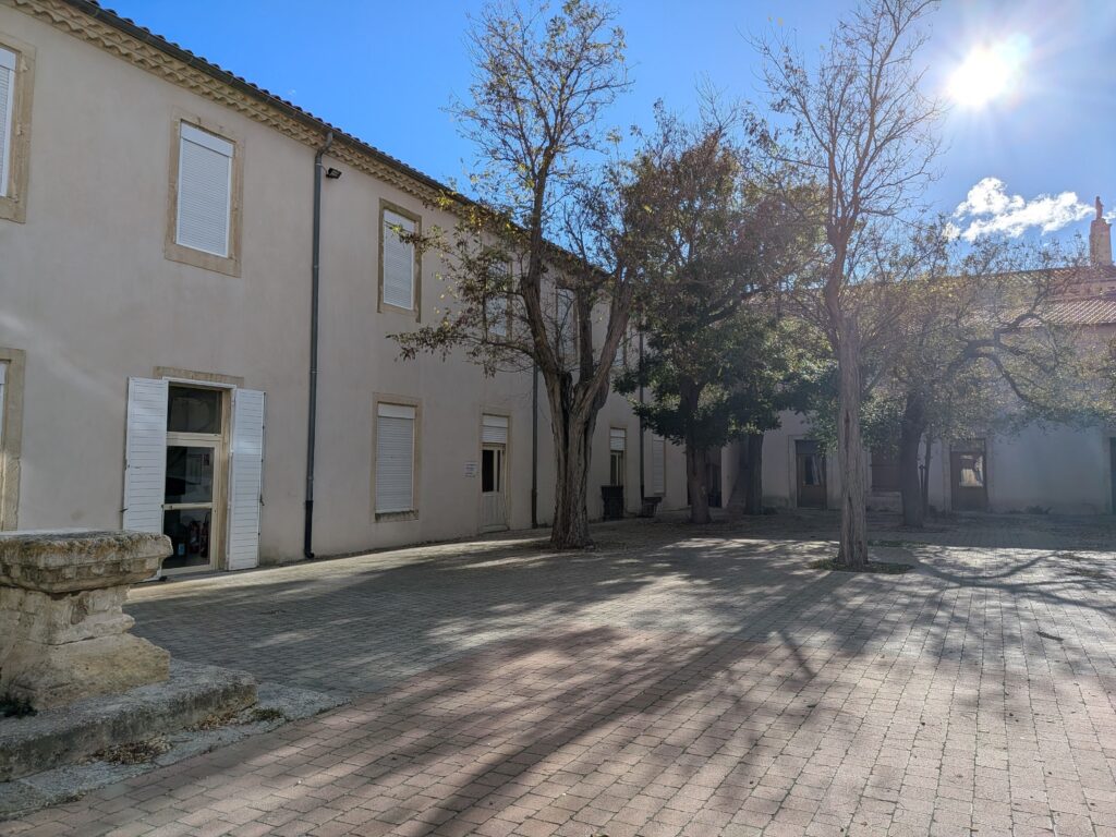 Cour